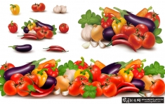 ��ͨ�߲�ʸ��ͼAI,���Ӵ���ͷ,�������ܲ�,�����������������ˮ�� �����߲˹Ϲ�ʸ��ͼ