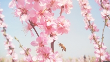 �һ����۷乲��