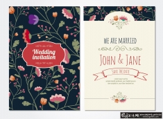 ʱ��Ψ�����ܻ�����������ͼ,���ܵ���ʸ������,ʱ����������ʸ���ز�,������ʸ��ͼ