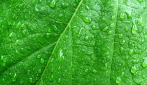 ����ȥ��ͼƬˮӡ�̳�ѧϰ,PSȥ��ˮӡ����,PSˮӡ�����̳�,PSͼƬˮӡ���������̳�